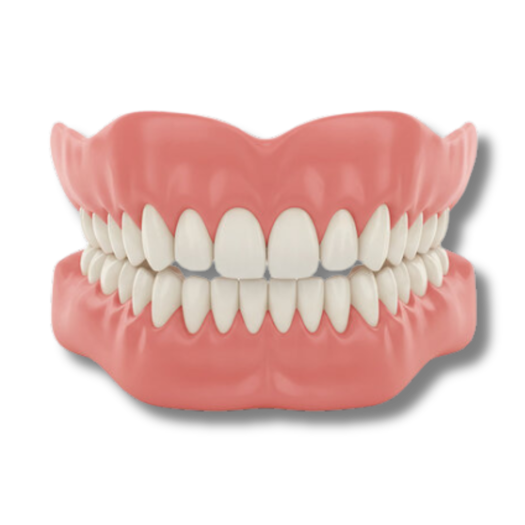 Briarnest™ - Premium Denture Set