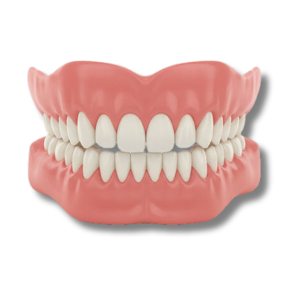 Briarnest™ - Premium Denture Set