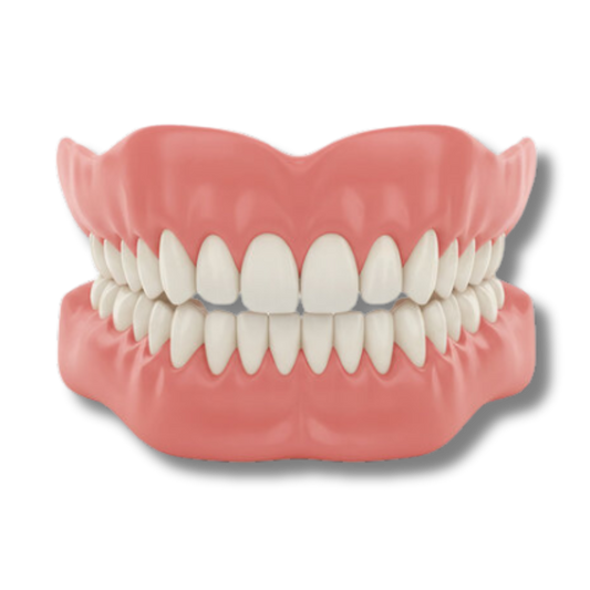 Briarnest™ - Premium Denture Set